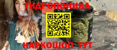 гидропоника Можга