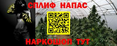 гидропоника Можга