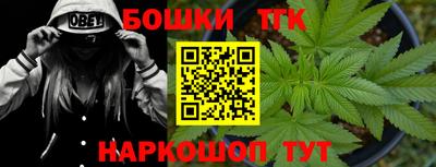 гидропоника Можга
