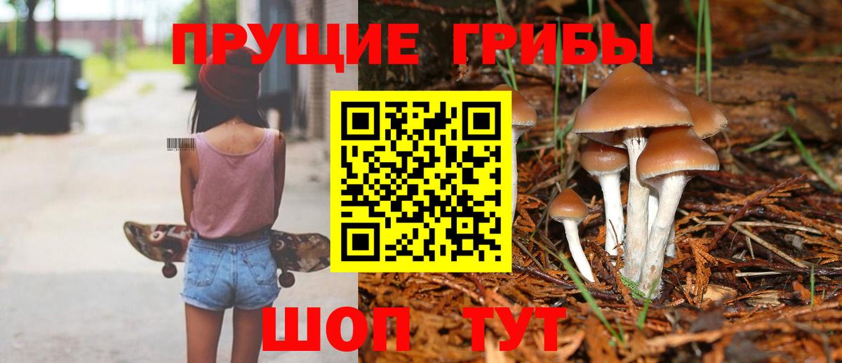 где купить   Вход с VPN  Псилоцибиновые грибы Psilocybine cubensis  Татарск  Галлюциногенные грибы GOLDEN TEACHER 